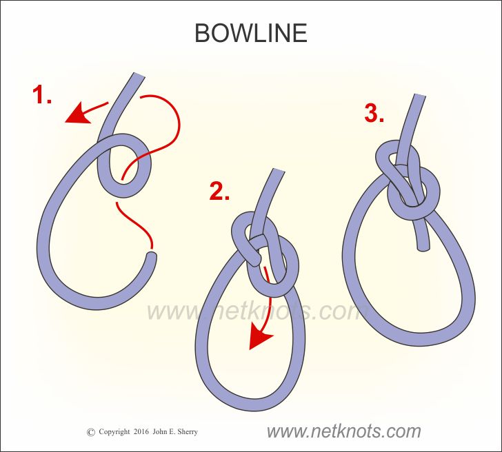 Bowline image